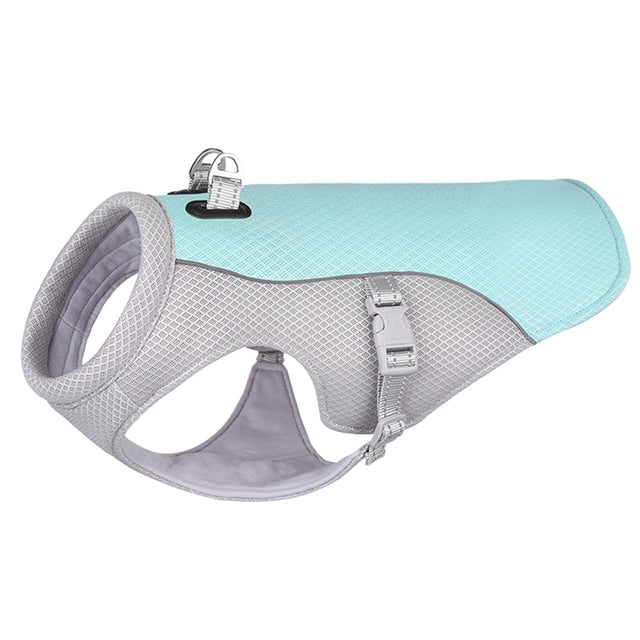 honden koelvest blauw