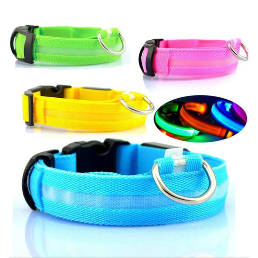 LED Glow-in-the-Dark halsband in diverse varianten