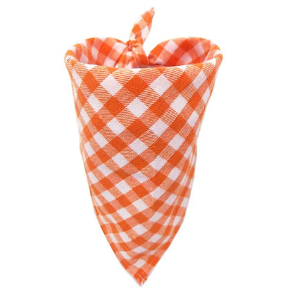 Hondensjaaltje oranjewit