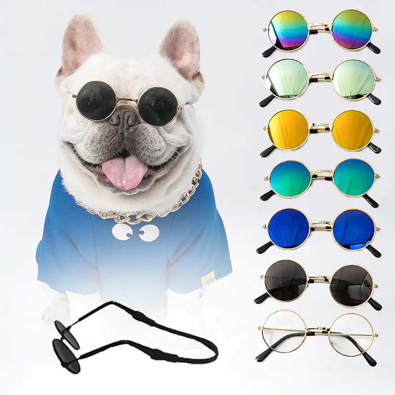 Hond met zonnebril en diverse andere varianten