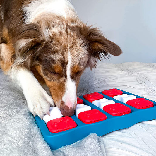 Uitdagend puzzel hondenspeeltje met hond