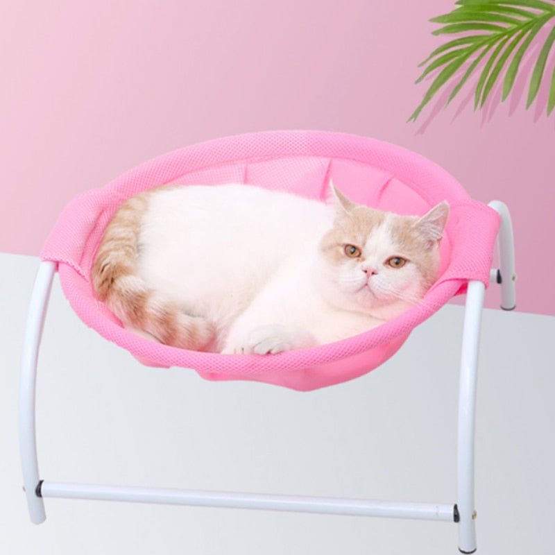 Kat in knusse hangmat roze