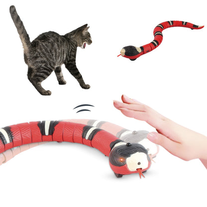 Automatisch speelslang voor katten