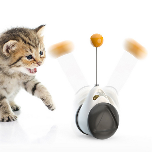Kat speelt met balancerende bal