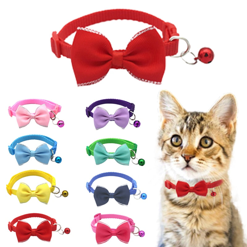 Kat met alle kleuren strik en bellen halsband