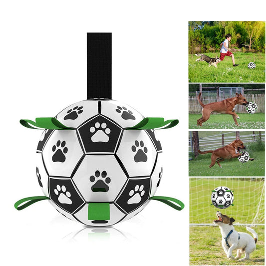 Interactieve hondenvoetbal met spelende honden