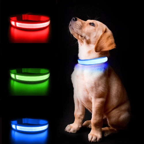 airtag led halsband in alle kleuren met hond