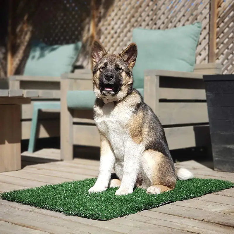 Pupmatje met hond